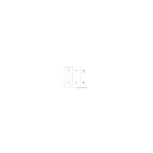 SWITCH PANEL REMOTE CONTROL 2-GROUP BLUETOOTH бял