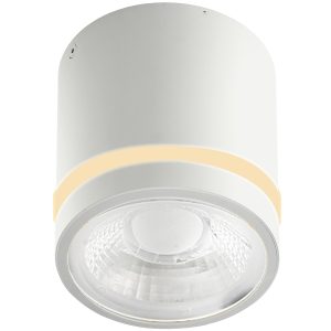 VICI IP44 12W CCT SWITCH бял