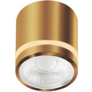 VICI IP44 12W CCT SWITCH златен